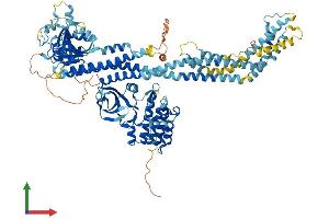AlphaFold protein structure predicition of Mouse Recombinant Dstyk Protein, UniprotID Q6XUX1