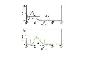 SERPINF1 Antibody (N-term) (ABIN391482 and ABIN2841451) flow cytometry analysis of 293 cells (bottom histogram) compared to a negative control cell (top histogram).