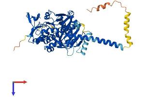 AlphaFold protein structure predicition of Human Recombinant KMO Protein, UniprotID O15229