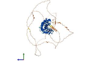AlphaFold protein structure predicition of Human Recombinant ARMCX2 Protein, UniprotID Q7L311