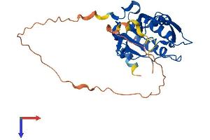 AlphaFold protein structure predicition of Mouse Recombinant Ctdspl Protein, UniprotID P58465