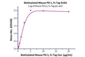 Immobilized Mouse PD-L1 / B7-H1 Protein, Fc Tag (Cat# PD1-M5251) at 10μg/mL (100μL/well) can bind Biotinylated Mouse PD-1 / PDCD1, Fc Tag, Avi Tag (Avitag™) (Cat# PD1-M82F4) with a linear range of 0. (PD-L1 Protein (AA 19-238) (Fc Tag))