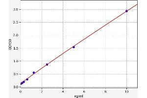 Neuregulin 2 (NRG2) ELISA Kit