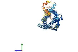 AlphaFold protein structure predicition of Mouse Recombinant Cxcr5 Protein, UniprotID Q04683