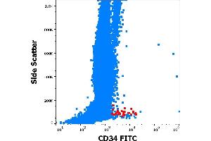 Flow cytometry surface staining pattern of human peripheral whole blood showing CD34 positive stem cells (red) stained using anti-human CD34 (QBEnd-10) FITC antibody (20 μL reagent / 100 μL of peripheral whole blood).