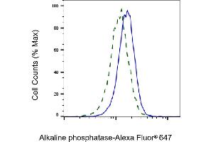 Validation of Alkaline phosphatase knockdown using flow cytometry. (Recombinant Alkaline Phosphatase anticorps)