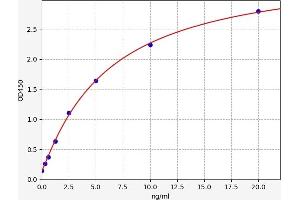 Typical standard curve