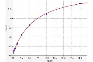 Typical standard curve (SLC2A3 Kit ELISA)