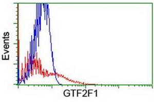 HEK293T cells transfected with either RC201294 overexpress plasmid (Red) or empty vector control plasmid (Blue) were immunostained by anti-GTF2F1 antibody (ABIN2455071), and then analyzed by flow cytometry. (GTF2F1 anticorps)