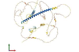 AlphaFold protein structure predicition of Mouse Recombinant Sgo1 Protein, UniprotID Q9CXH7