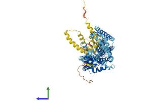 AlphaFold protein structure predicition of Human Recombinant SLC44A3 Protein, UniprotID Q8N4M1