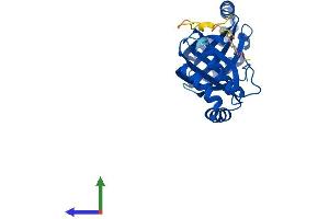 AlphaFold protein structure predicition of Human Recombinant NIPSNAP3B Protein, UniprotID Q9BS92