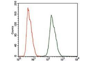 Flow cytometric analysis of HeLa cells using ALDH2 mouse mAb (green) and negative control (red). (ALDH2 anticorps  (AA 317-517))