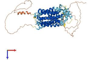 AlphaFold protein structure predicition of Mouse Recombinant Slc2a12 Protein, UniprotID Q8BFW9