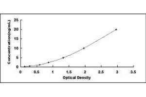 Typical standard curve (Ferritin Mitochondrial Kit ELISA)