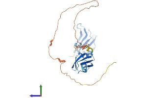 AlphaFold protein structure predicition of Mouse Recombinant Hnrnpa0 Protein, UniprotID Q9CX86
