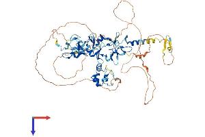 AlphaFold protein structure predicition of Mouse Recombinant Ablim2 Protein, UniprotID Q8BL65