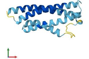 AlphaFold protein structure predicition of Human Recombinant CNIH1 Protein, UniprotID O95406