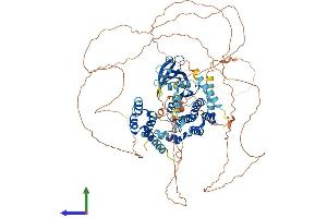 AlphaFold protein structure predicition of Human Recombinant NEK4 Protein, UniprotID P51957