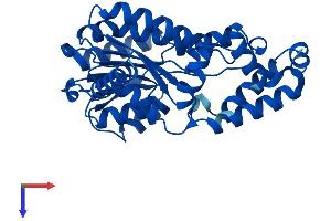 AlphaFold protein structure predicition of Human Recombinant RDH16 Protein, UniprotID O75452