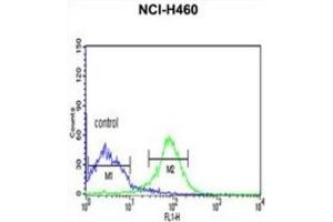 Flow Cytometry (FACS) image for anti-FK506 Binding Protein 14, 22 KDa (FKBP14) antibody (ABIN3002691)