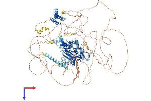 REX1, RNA Exonuclease 1 Homolog (REXO1) (AA 1-1213) protein (His tag)