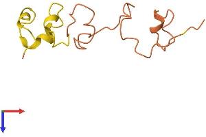 AlphaFold protein structure predicition of Human Recombinant KRTAP17-1 Protein, UniprotID Q9BYP8