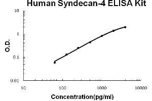 Human Syndecan-4/SDC4 PicoKine ELISA Kit standard curve (SDC4 Kit ELISA)