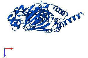 AlphaFold protein structure predicition of Human Recombinant JMJD7 Protein, UniprotID P0C870