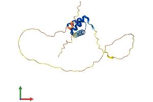 AlphaFold protein structure predicition of Human Recombinant RHOXF1 Protein, UniprotID Q8NHV9