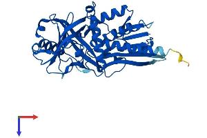 AlphaFold protein structure predicition of Human Recombinant DAO Protein, UniprotID P14920
