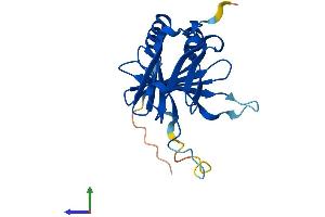 AlphaFold protein structure predicition of Mouse Recombinant Dpcd Protein, UniprotID Q8BPA8