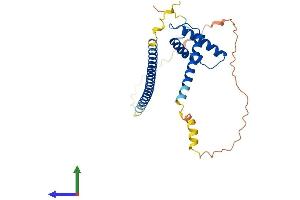 AlphaFold protein structure predicition of Mouse Recombinant Msantd3 Protein, UniprotID Q9CR78