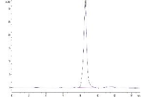 The purity of Human SPARC is greater than 95 % as determined by SEC-HPLC. (SPARC Protein (AA 18-303) (His tag))