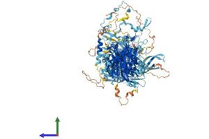 AlphaFold protein structure predicition of Mouse Recombinant Pan2 Protein, UniprotID Q8BGF7