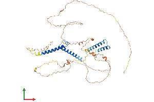 AlphaFold protein structure predicition of Human Recombinant BHLHE41 Protein, UniprotID Q9C0J9