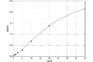A typical standard curve (EPH Receptor B2 Kit ELISA)