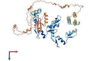 AlphaFold protein structure predicition of Human Recombinant ZNF177 Protein, UniprotID Q13360
