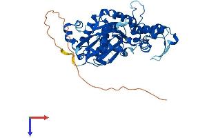 Actin-Like 9 (ACTL9) (AA 1-415) protein (His tag)