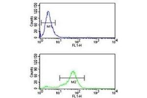 H4 antibody flow cytometric analysis of NCI-H460 cells (bottom histogram) compared to a negative control (top histogram).