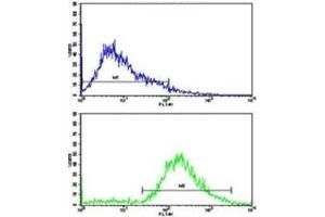 Flow cytometric analysis of Jurkat cells using VIP antibody (green) compared to a negative control (blue).