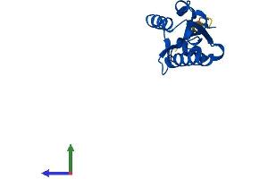 AlphaFold protein structure predicition of Human Recombinant PTRHD1 Protein, UniprotID Q6GMV3
