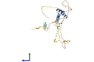 AlphaFold protein structure predicition of Mouse Recombinant Nkx2-6 Protein, UniprotID P43688