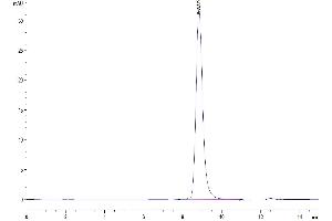 The purity of Mouse B7-H5/Gi24/VISTA is greater than 95 % as determined by SEC-HPLC.