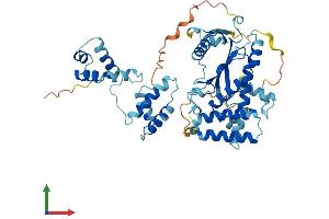 AlphaFold protein structure predicition of Human Recombinant TIGD3 Protein, UniprotID Q6B0B8