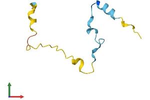 AlphaFold protein structure predicition of Human Recombinant CAMK2N2 Protein, UniprotID Q96S95