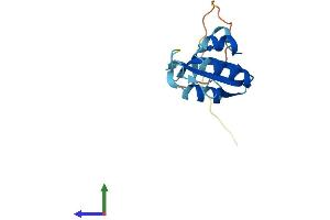 AlphaFold protein structure predicition of Human Recombinant PIN4 Protein, UniprotID Q9Y237