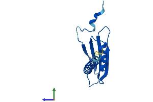 AlphaFold protein structure predicition of Human Recombinant POLR2J2 Protein, UniprotID Q9GZM3