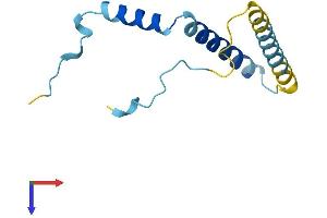 AlphaFold protein structure predicition of Human Recombinant FAM32A Protein, UniprotID Q9Y421