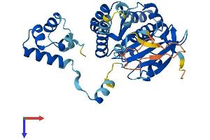 AlphaFold protein structure predicition of Mouse Recombinant Rad51b Protein, UniprotID O35719